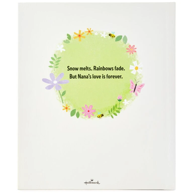 Hallmark Nana's Love Is Forever Recordable Storybook - Image 5