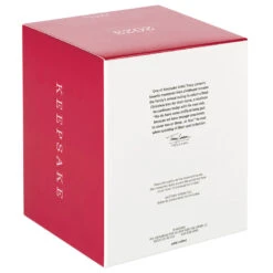 Hallmark The Peanuts® Gang Christmastime Is Here Musical Ornament With Motion -Home Improvement Store Peanuts Gang Ice Skating Keepsake Ornament 3999QXI7037 05