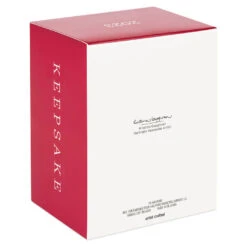 Hallmark Star Wars: Return Of The Jedi™ A Curious Encounter On Endor™ Ornament -Home Improvement Store Return of the Jedi Wicket Ewok Keepsake Ornament 2699QXI7097 05