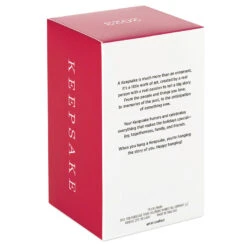 Hallmark Disney The Sword In The Stone 60th Anniversary Becoming King Arthur Ornament -Home Improvement Store The Sword in the Stone Wart Keepsake Ornament 1999QXD6659 05