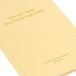 Hallmark While I Was Waiting Prompted Pregnancy Journal 20 Hallmark While I Was Waiting Prompted Pregnancy Journal -Home Improvement Store Yellow Prompted Pregnancy Journal 1BBA4141 08